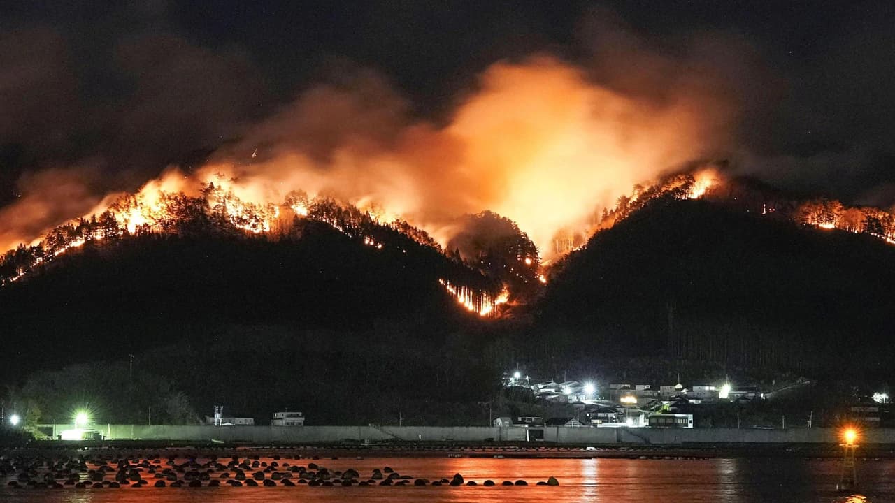 Japonya orman yangınlarıyla mücadele ediyor