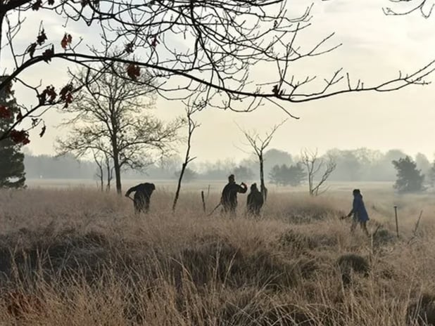 Hollanda'da Roma Ordusu kampı bulundu