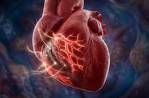 İnsan kalbinde hücre yenilenmesi: Kalp yetmezliği tedavisinde yeni dönem