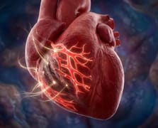 İnsan kalbinde hücre yenilenmesi: Kalp yetmezliği tedavisinde yeni dönem