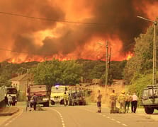 İspanya'da orman yangınları 50 farklı noktada devam ediyor