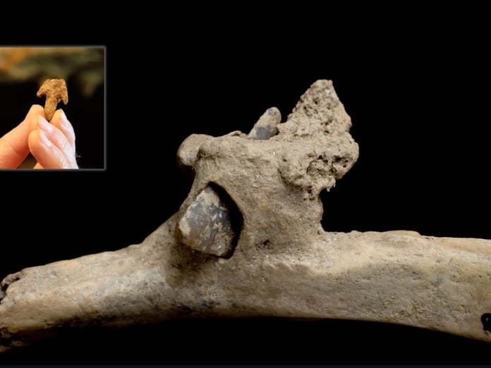 4000 yıllık kaburgaya saplanmış ok ucu bulundu