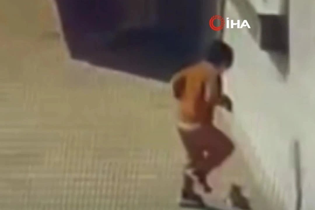 Kediye kötü muameleye adli soruşturma: Aileye para cezası uygulandı
