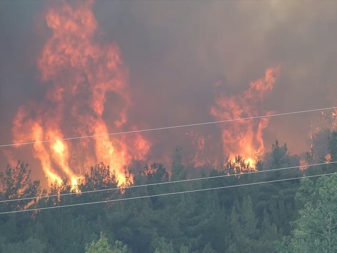Orman yangınları bilançosu açıklandı: 10 orman çalışanı ve AKUT gönüllüsü şehit, milyonlarca liralık destek
