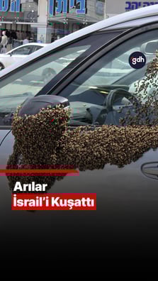 İsrail'i arılar kuşattı!