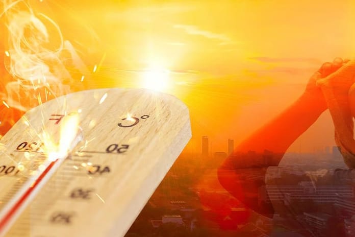 Küresel iklim tahminleri: Gelecek 5 yılda sıcaklıklar rekor seviyelerde kalacak