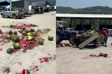 Karpuzları yere atıp parçalayan üreticiler hakkında işlem başlatıldı