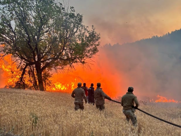 İçişleri Bakanlığı'ndan orman yangınları açıklaması: 23 gözaltı 4 tutuklama