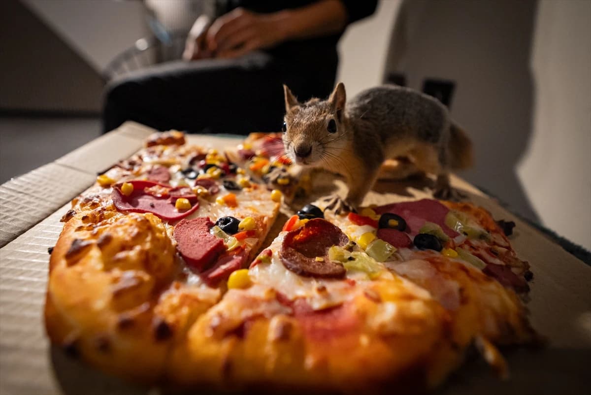Sincap Yoda eğitimde: En sevdiği yemek pizza
