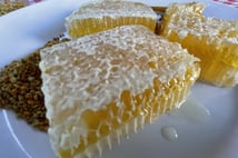 Yenice ıhlamur balı AB’de resmen tescillendi 