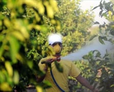 Bakan Yumaklı yeni B-Reçete Sistemi’ni duyurdu: Tarladan sofraya pestisitsiz gıda