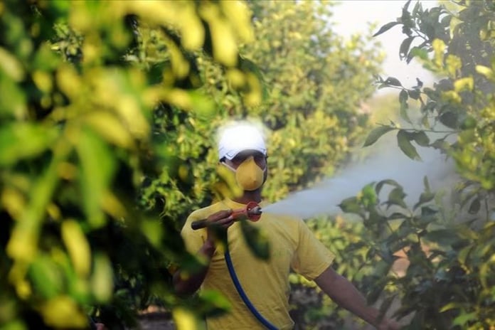 Bakan Yumaklı yeni B-Reçete Sistemi’ni duyurdu: Tarladan sofraya pestisitsiz gıda