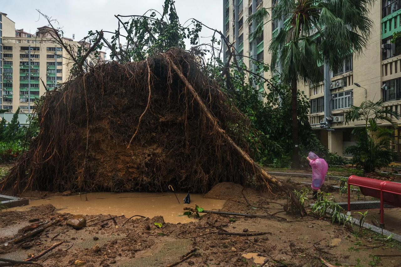 Vietnam'ı Bualoi Tayfunu ile mücadele ediyor