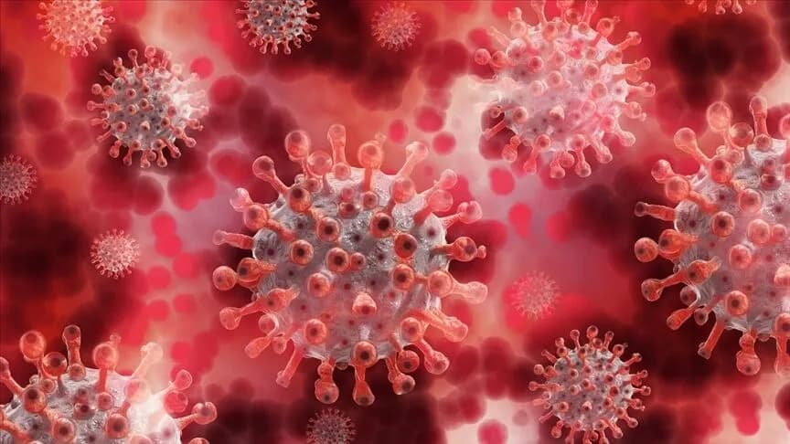Stanford MIT Harvard yapay zekâ virüs çalışması