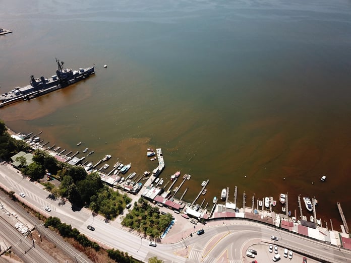 İzmit Körfezi'nde ürküten görüntü