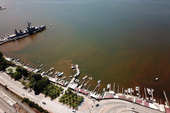 İzmit Körfezi'nde ürküten görüntü