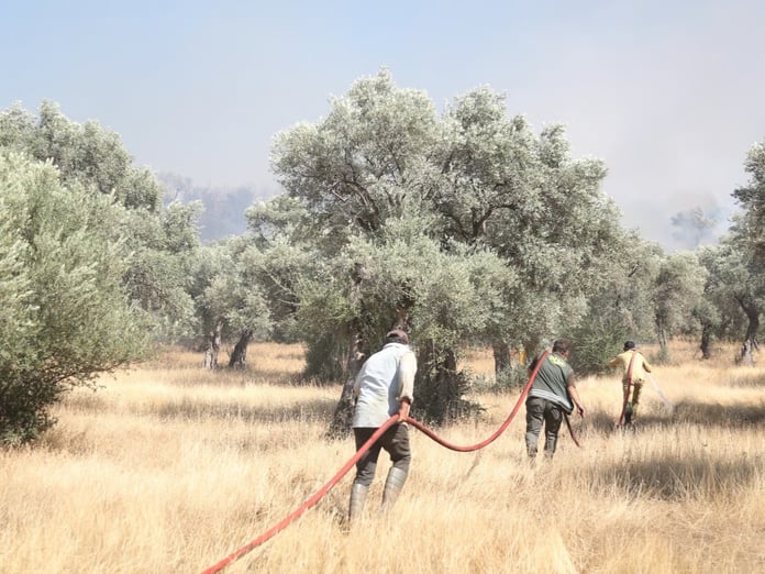 Orman yangınlarıyla mücadelede 39 bin kişilik gönüllü ordusu