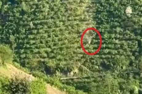 Mucize eseri kurtuldu, korku dolu anları böyle anlattı