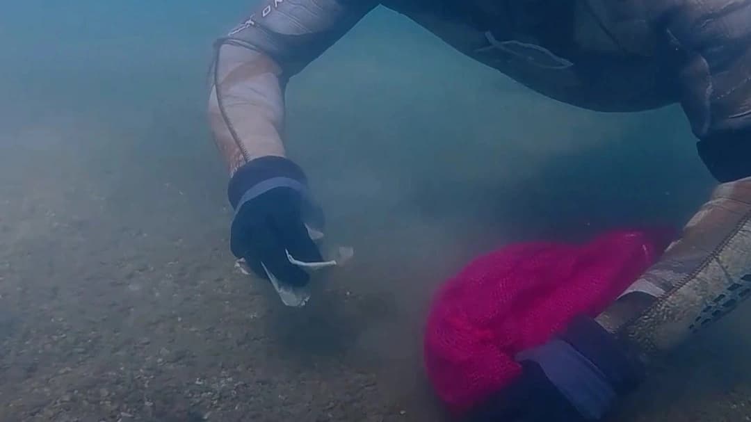 Bodrum'da deniz dibi temizliği yapıldı