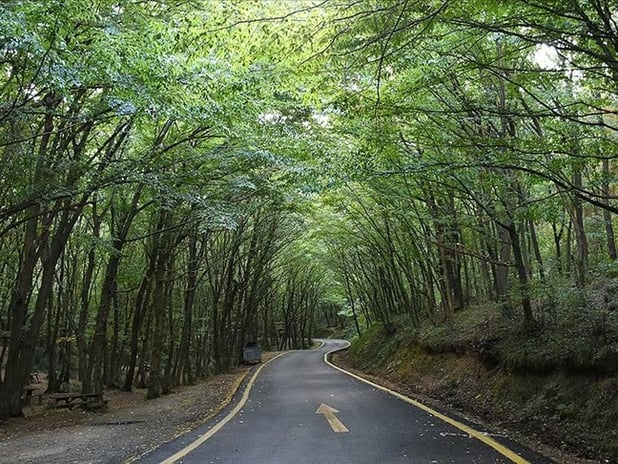 Ülke genelinde 47 ilde ormanlara giriş yasaklandı