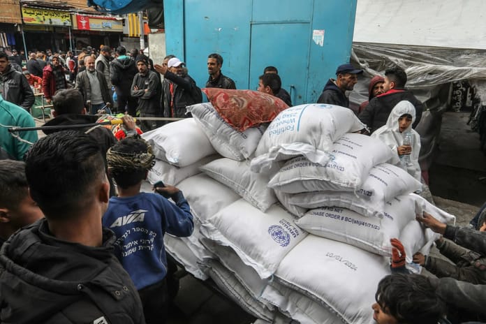 Gazze'deki akademisyenler açlıkla boğuşuyor 