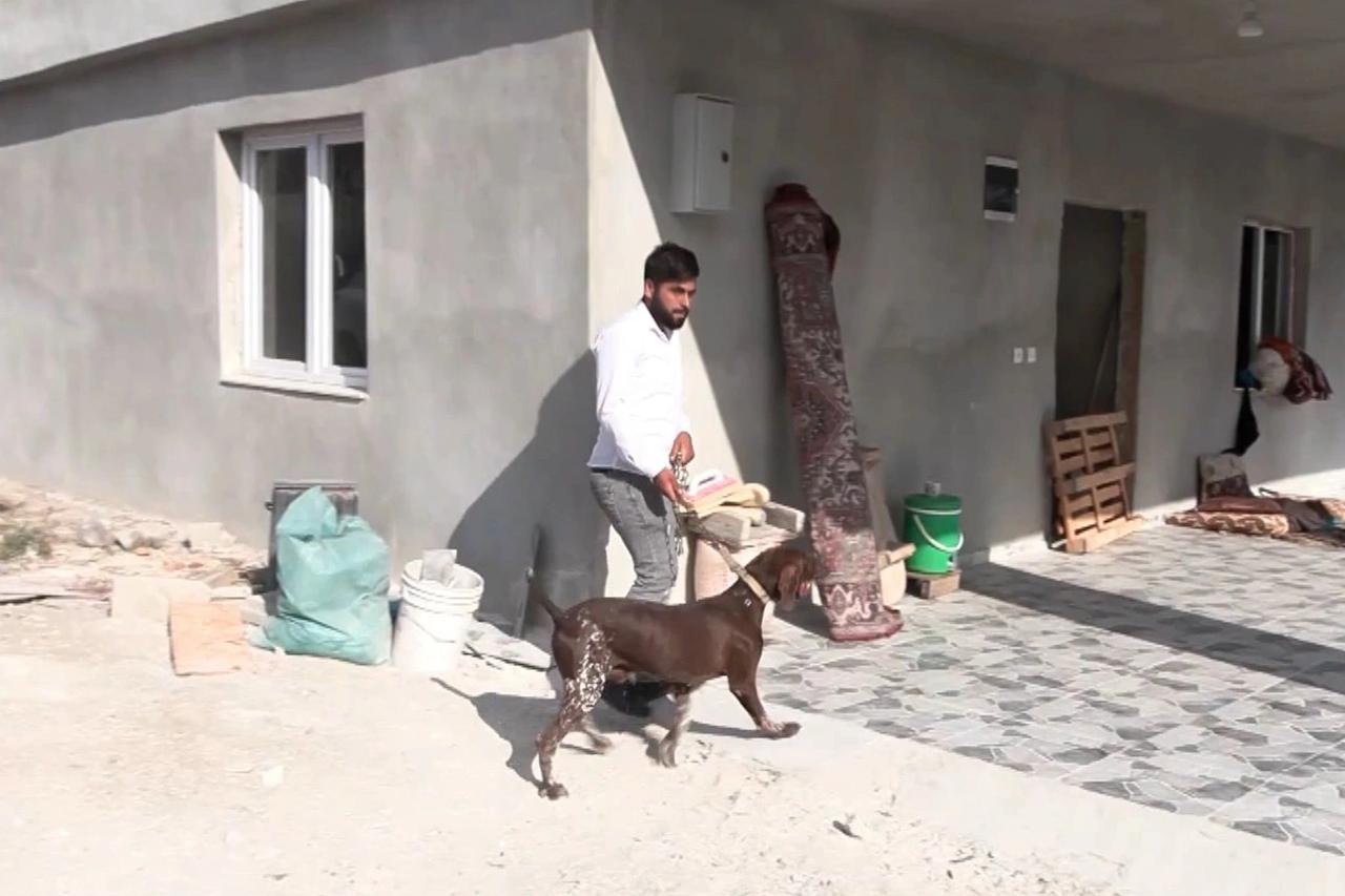 'Tavuklarımı yedi' dedi, komşusunun köpeğini darbetti