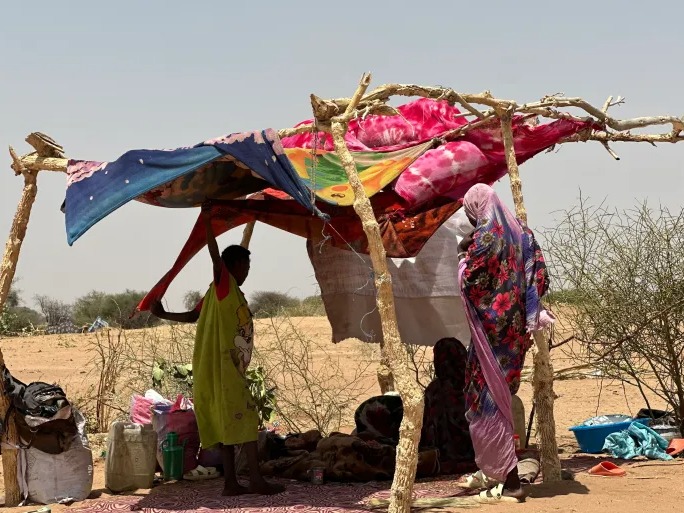 RSF Attack Kills 14 Civilians In El Fasher, Dozens Injured