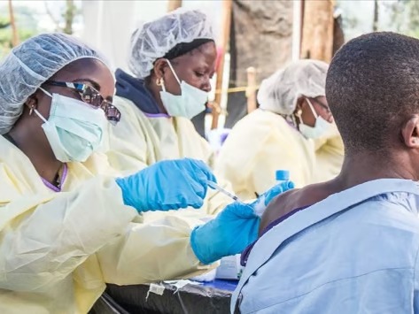 Lassa ateşi Nijerya'yı sarsıyor: Ölüm oranı yüzde 18,9’a yükseldi