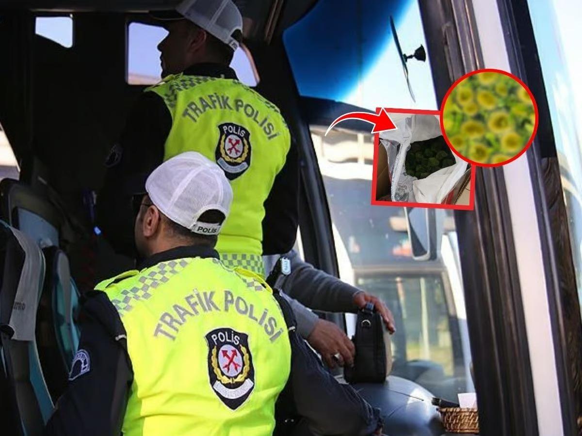 Otobüs zulasından çıkan 8,5 kiloluk gizemli canlı şoke etti!