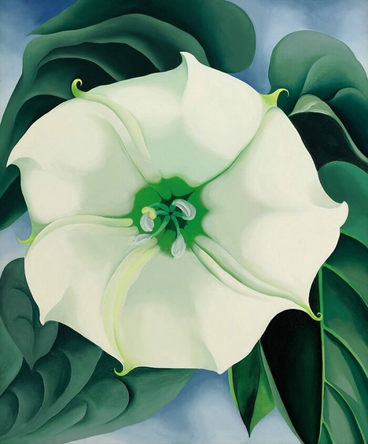 Jimson Weed/White Flower No. 1