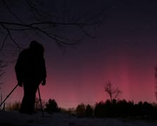 Polonya'da büyülü anlar: Gözlerini gökyüzünden alamadılar