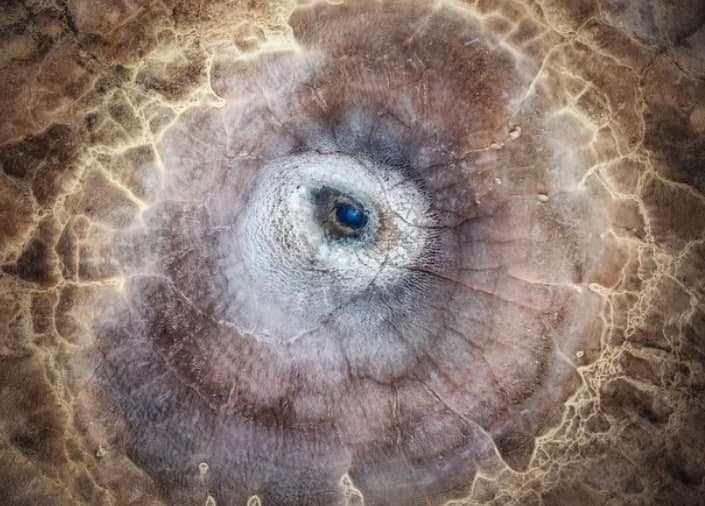 National Geographic yarışmasındaki etkileyici fotoğraflar