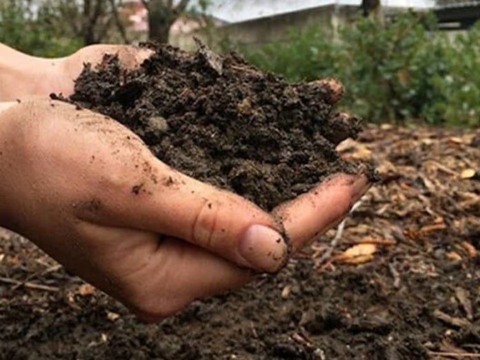 Tarımda maliyetleri düşürecek hamle: Üre ithalatında gümrük vergisi sıfırlandı