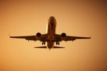 İniş için alçalan uçak tavşan nedeniyle pisti pas geçti