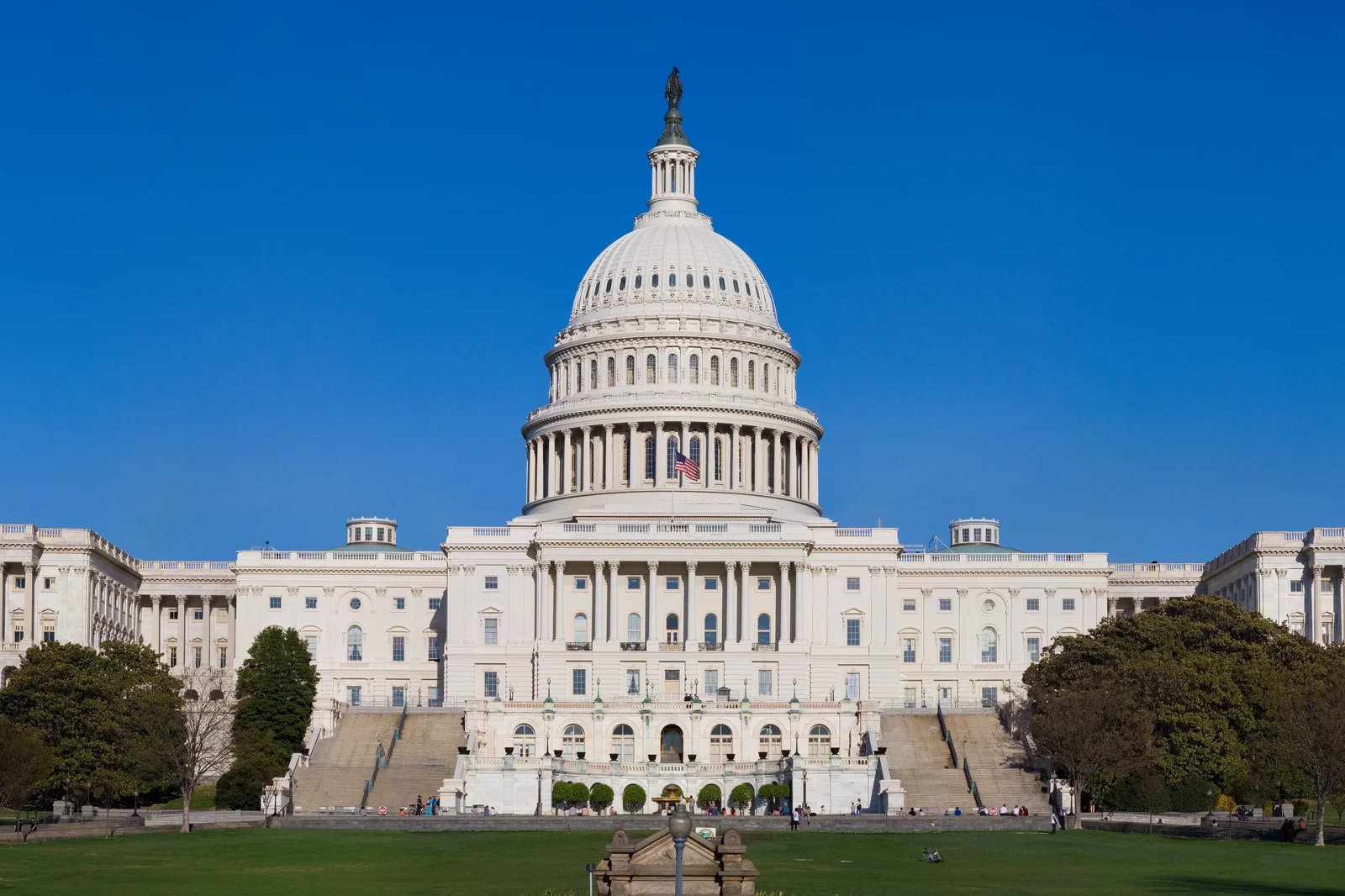 Democrats Lead Midterm Polls by 8-9 Points