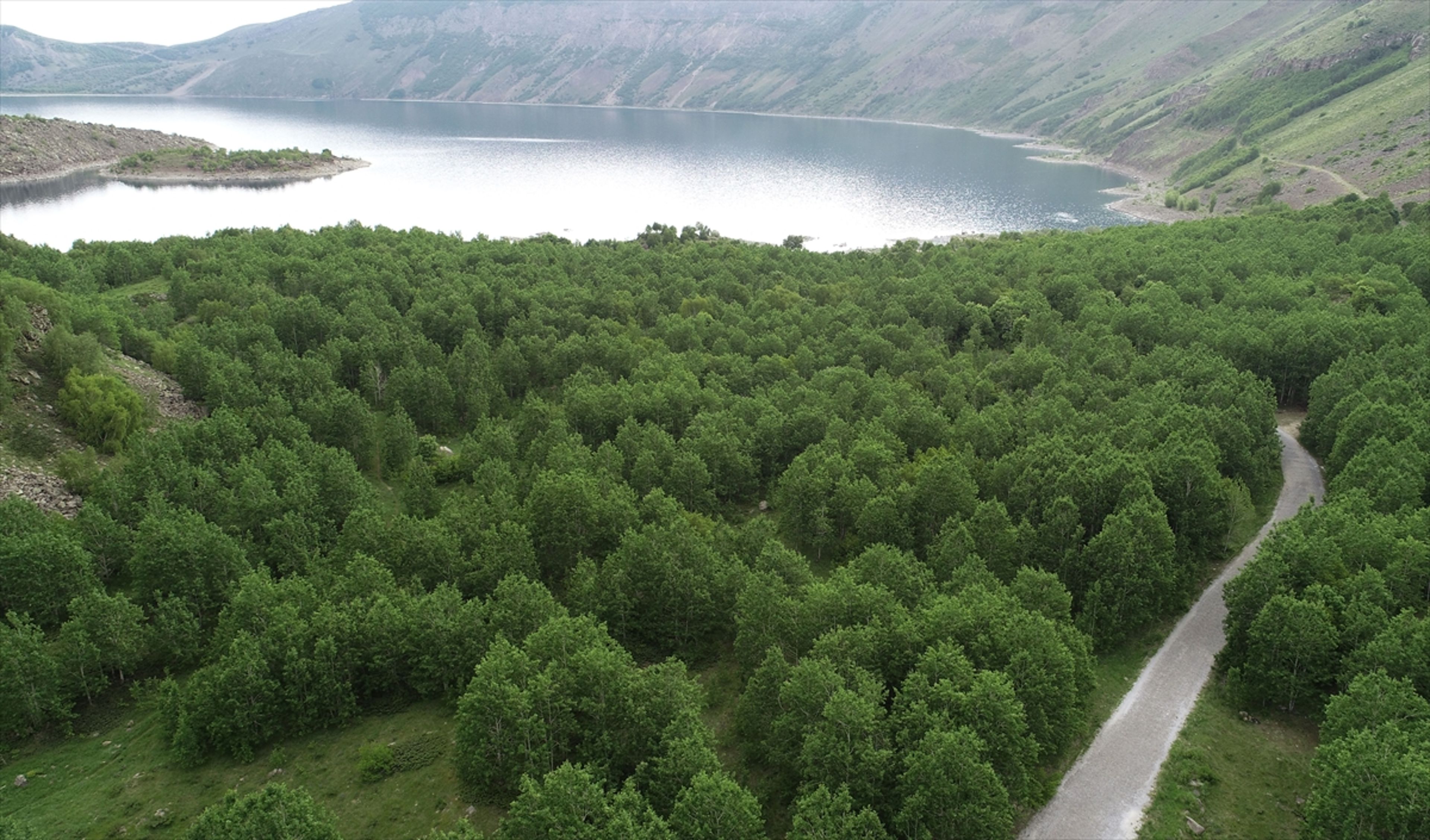 Galeri Fotoğrafı