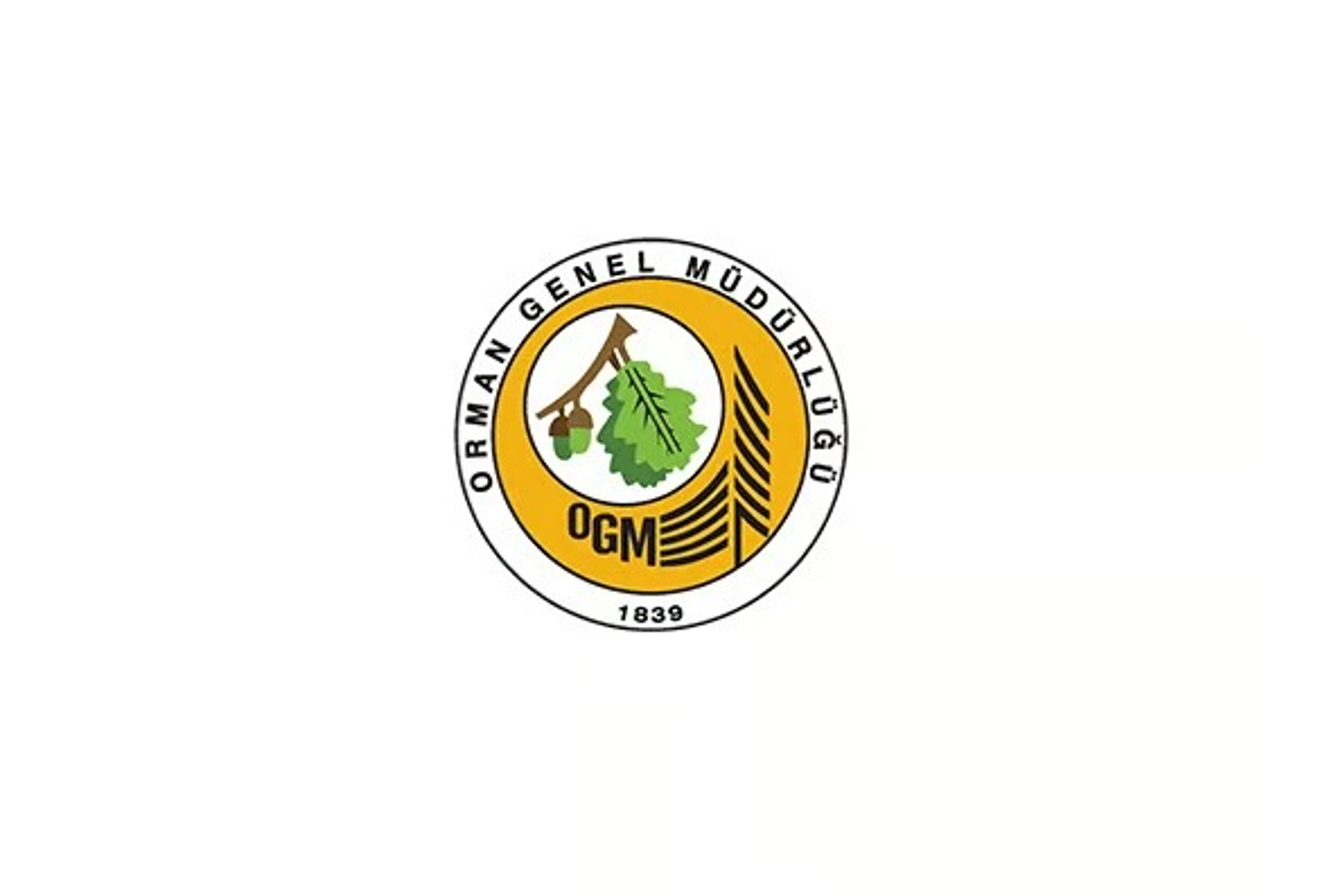 Orman Genel Müdürlüğü personel alımı ilanı | OGM personel alımı ne zaman, şartları nedir?