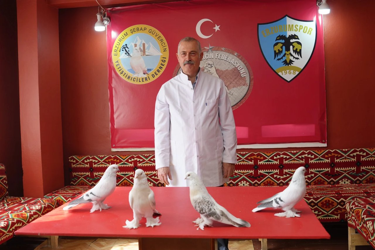 40 güvercini için ev kiraladı