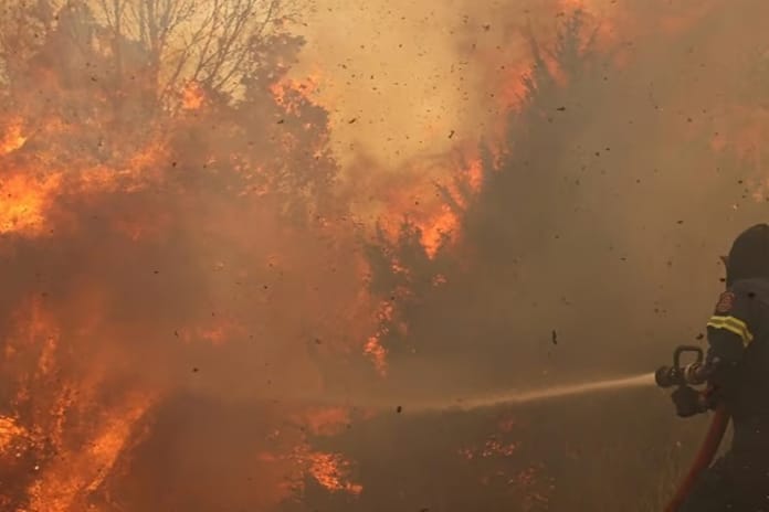 İsrail'de orman yangınları yerleşim yerlerine dayandı