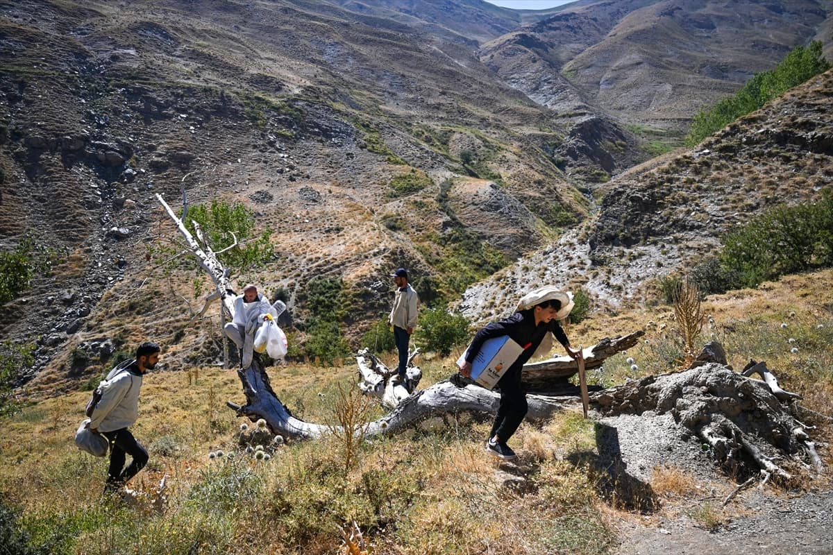 3 bin 547 metre rakımlı Arnos Dağı'nda doğal bal keşfi