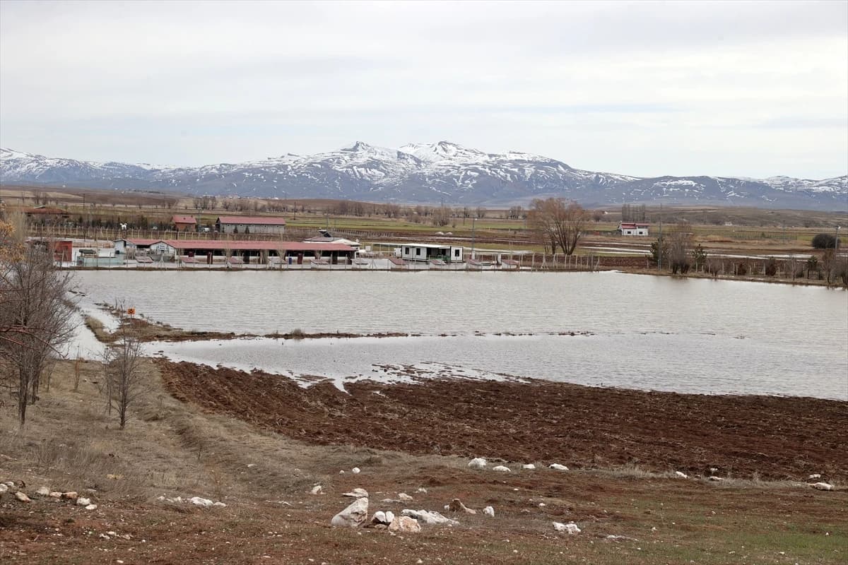 Sivas'ta karların erimesiyle Kangal köpeği çiftliğini su bastı