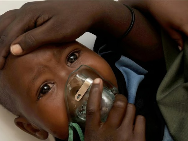 Nijerya'da Lassa ateşi ve menenjit alarmı: 5 ayda 366 ölü