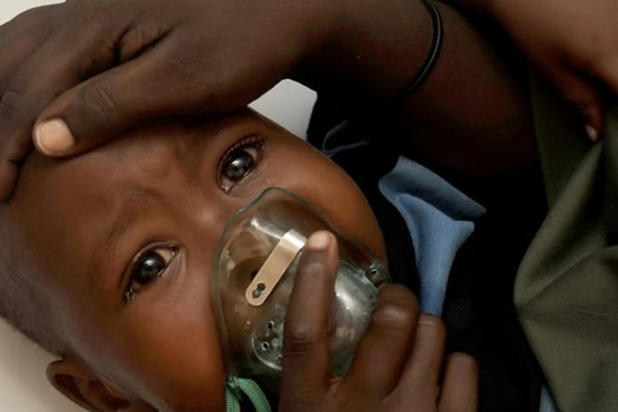 Nijerya'da Lassa ateşi ve menenjit alarmı: 5 ayda 366 ölü