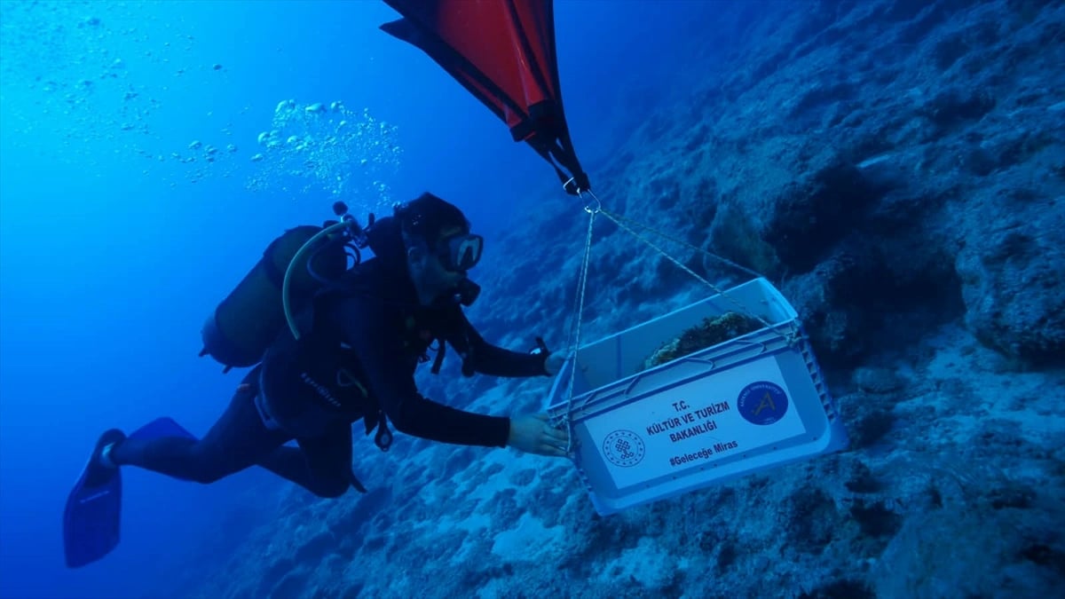 Kekova'da dünyanın en eski batığında amfora keşfi