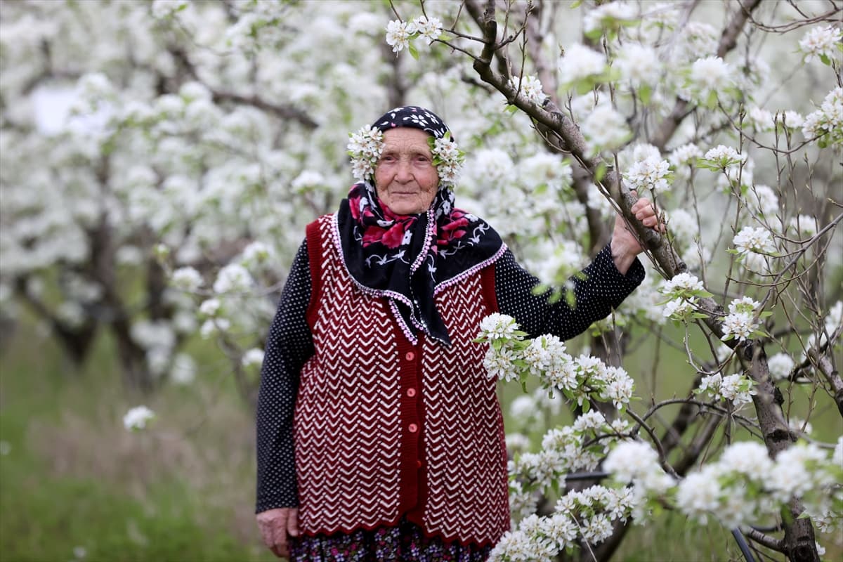 Yıldız Dağları’nın eteklerinde 'beyaz' mesai: Meyve ağaçları çiçek açtı
