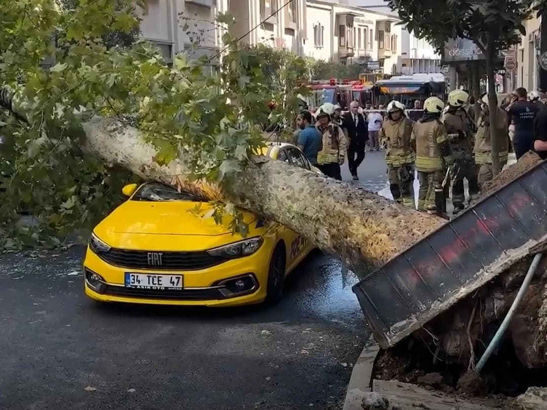 Taksinin üzerine ağaç devrildi