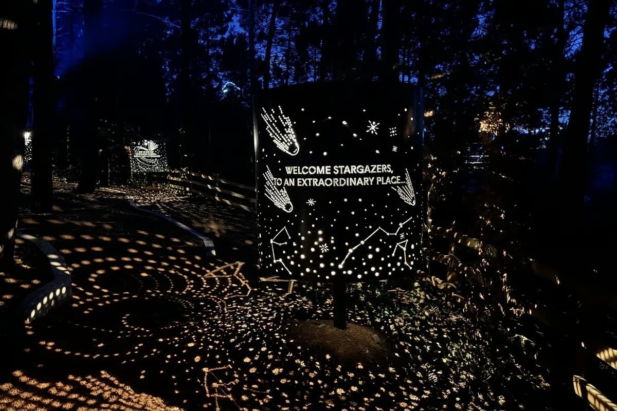 Dünyaca ünlü dijital sanat sergisi Astra Lumina İstanbul’da