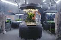 Kızıl Gezegen'de Tarım Devrimi: Mars tozundan ilk defa besin üretildi