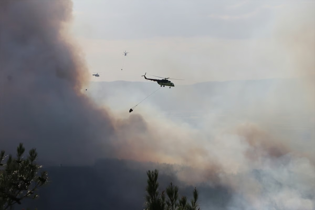 Tekirdağ'da orman yangını
