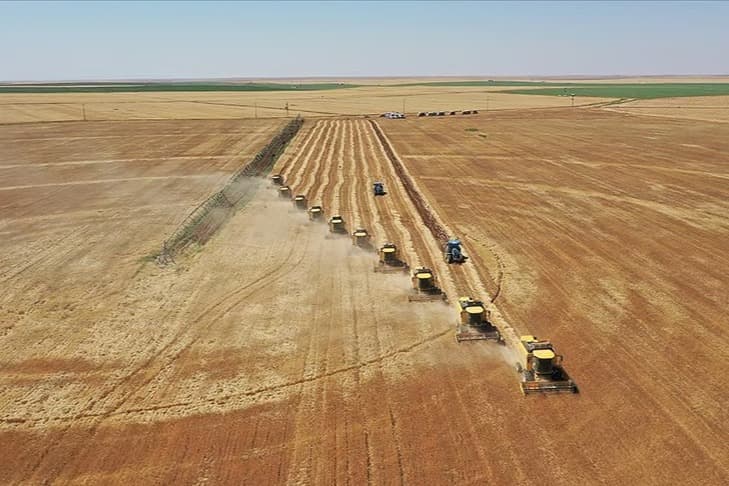 Türkiye tarımsal hasılatta rekor kırdı: Dünyada ilk 7 ülke arasına girdi